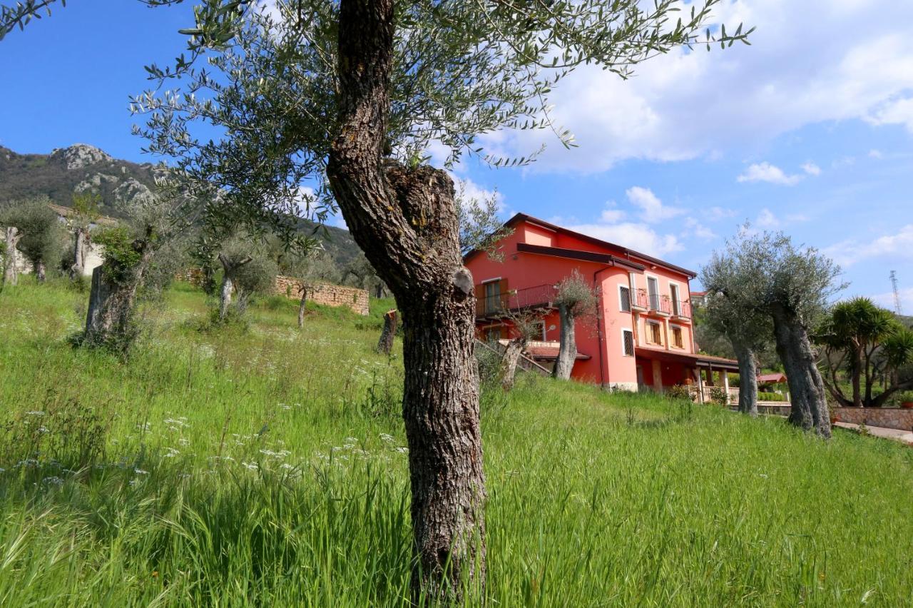 B&B La Casa Del Sole Controne Exteriör bild